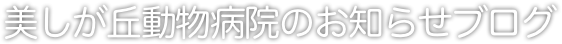 美しが丘動物病院のお知らせブログ